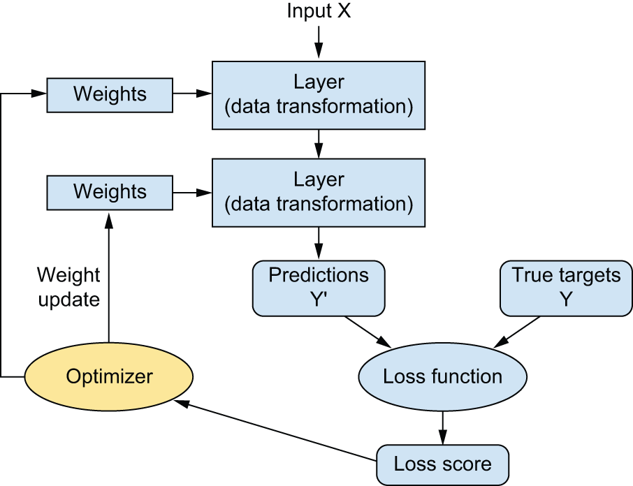 图 1.9：损失分数用作反馈信号来调整权重