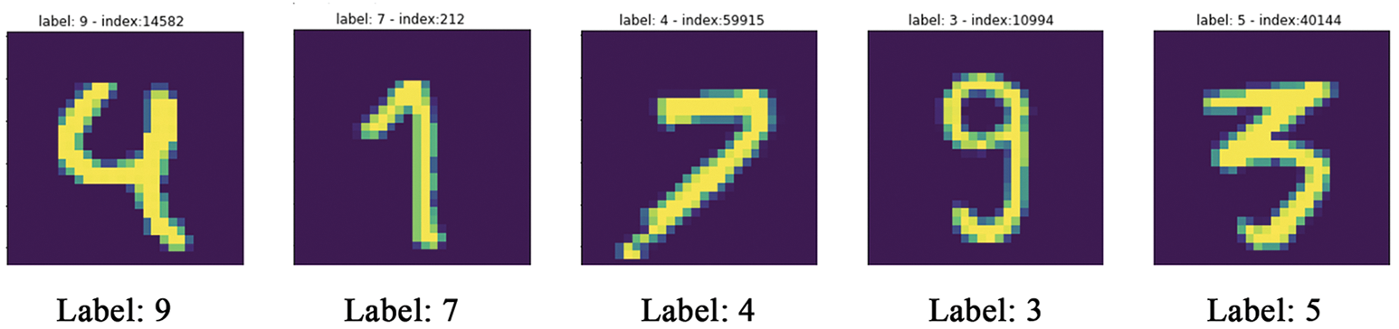 图 5.3：标记错误的 MNIST 训练样本