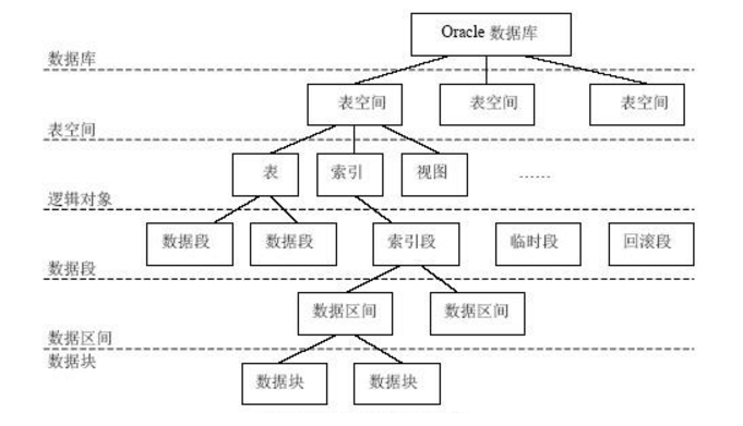 数据库逻辑结构